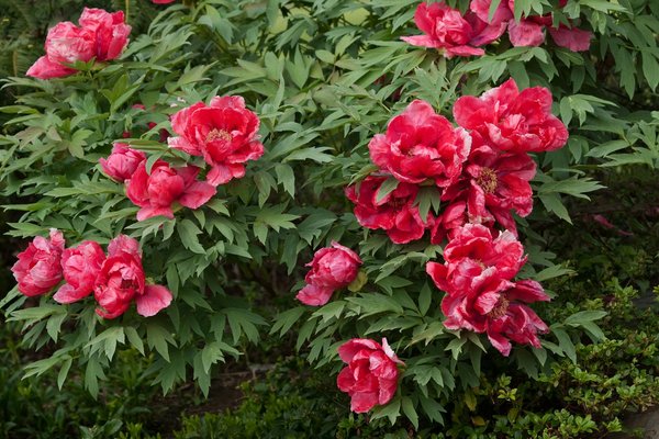 Atoubois menuiserie et charpente : votre projet, notre expertise