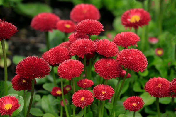 Pourquoi devenir un pro certifié avec un organisme de formation rge